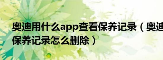 奥迪用什么app查看保养记录（奥迪4S店的保养记录怎么删除）