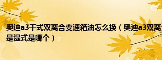 奥迪a3干式双离合变速箱油怎么换（奥迪a3双离合是干式还是湿式是哪个）