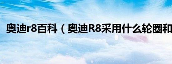 奥迪r8百科（奥迪R8采用什么轮圈和轮胎）