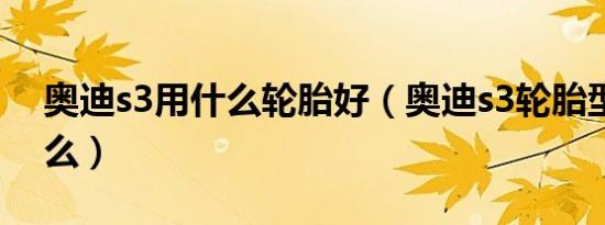 奥迪s3用什么轮胎好（奥迪s3轮胎型号是什么）