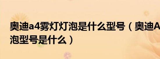奥迪a4雾灯灯泡是什么型号（奥迪A4大灯灯泡型号是什么）