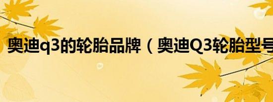 奥迪q3的轮胎品牌（奥迪Q3轮胎型号规格）