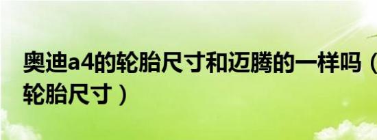 奥迪a4的轮胎尺寸和迈腾的一样吗（奥迪A4轮胎尺寸）