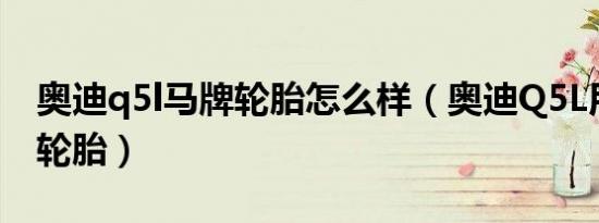 奥迪q5l马牌轮胎怎么样（奥迪Q5L用的什么轮胎）