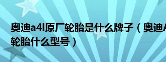 奥迪a4l原厂轮胎是什么牌子（奥迪A4L原厂轮胎什么型号）