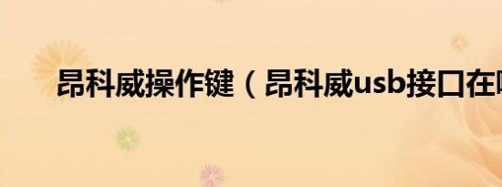 昂科威操作键（昂科威usb接口在哪）