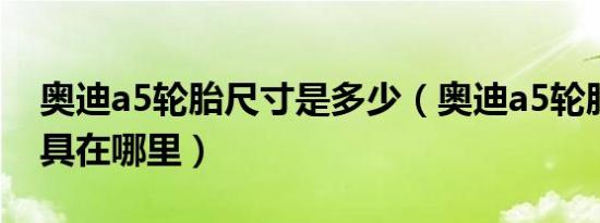 奥迪a5轮胎尺寸是多少（奥迪a5轮胎专用工具在哪里）