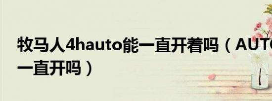 牧马人4hauto能一直开着吗（AUTO灯光能一直开吗）