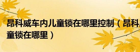 昂科威车内儿童锁在哪里控制（昂科威车门儿童锁在哪里）