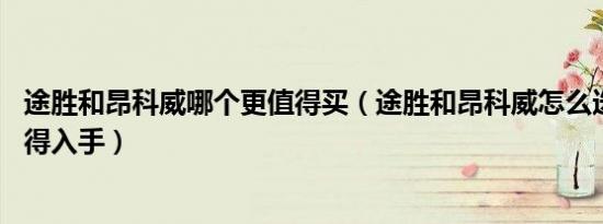途胜和昂科威哪个更值得买（途胜和昂科威怎么选 哪个更值得入手）