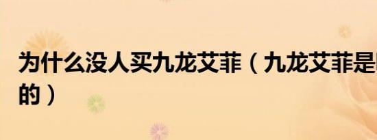 为什么没人买九龙艾菲（九龙艾菲是哪个公司的）