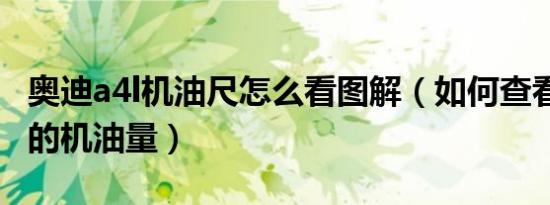 奥迪a4l机油尺怎么看图解（如何查看奥迪a4l的机油量）