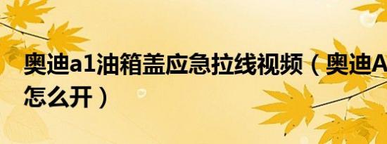 奥迪a1油箱盖应急拉线视频（奥迪A1油箱盖怎么开）