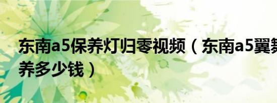 东南a5保养灯归零视频（东南a5翼舞配件保养多少钱）