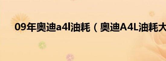 09年奥迪a4l油耗（奥迪A4L油耗大吗）