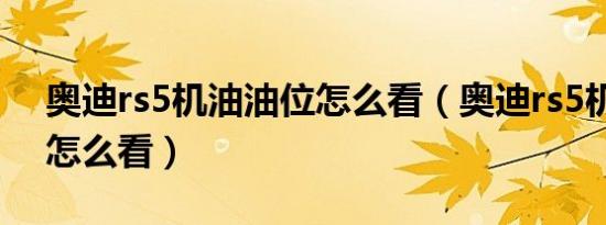 奥迪rs5机油油位怎么看（奥迪rs5机油油位怎么看）