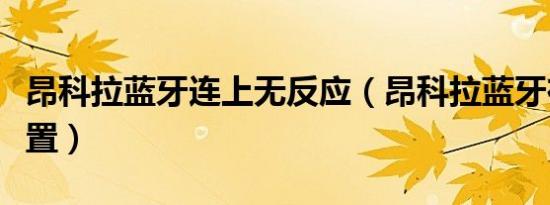 昂科拉蓝牙连上无反应（昂科拉蓝牙在哪里设置）