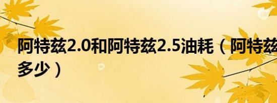 阿特兹2.0和阿特兹2.5油耗（阿特兹2.5油耗多少）