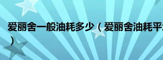 爱丽舍一般油耗多少（爱丽舍油耗平均是多少）
