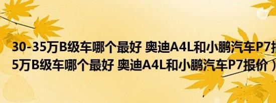 30-35万B级车哪个最好 奥迪A4L和小鹏汽车P7报价（30-35万B级车哪个最好 奥迪A4L和小鹏汽车P7报价）