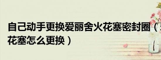 自己动手更换爱丽舍火花塞密封圈（爱丽舍火花塞怎么更换）