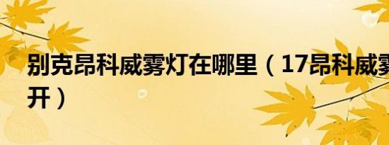 别克昂科威雾灯在哪里（17昂科威雾灯怎么开）
