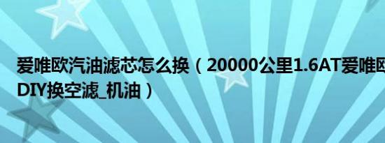 爱唯欧汽油滤芯怎么换（20000公里1.6AT爱唯欧保养作业 DIY换空滤_机油）