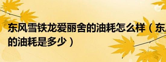 东风雪铁龙爱丽舍的油耗怎么样（东风爱丽舍的油耗是多少）