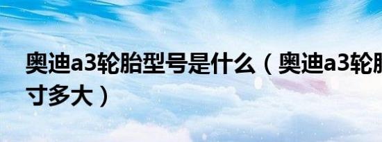 奥迪a3轮胎型号是什么（奥迪a3轮胎型号尺寸多大）