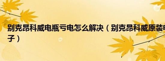 别克昂科威电瓶亏电怎么解决（别克昂科威原装电瓶什么牌子）
