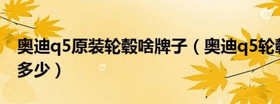 奥迪q5原装轮毂啥牌子（奥迪q5轮毂尺寸是多少）