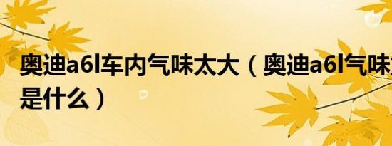 奥迪a6l车内气味太大（奥迪a6l气味重的原因是什么）