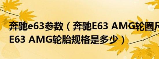 奔驰e63参数（奔驰E63 AMG轮圈尺寸 奔驰E63 AMG轮胎规格是多少）