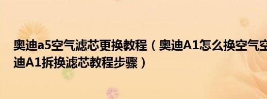 奥迪a5空气滤芯更换教程（奥迪A1怎么换空气空调滤芯 奥迪A1拆换滤芯教程步骤）