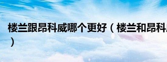 楼兰跟昂科威哪个更好（楼兰和昂科威哪个好）