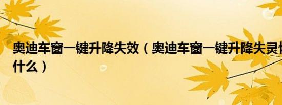 奥迪车窗一键升降失效（奥迪车窗一键升降失灵恢复方法是什么）