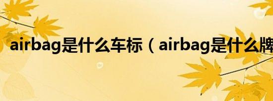 airbag是什么车标（airbag是什么牌子车）