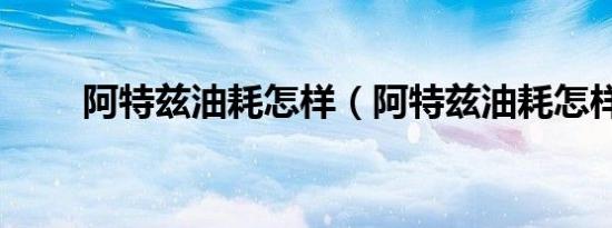 阿特兹油耗怎样（阿特兹油耗怎样）