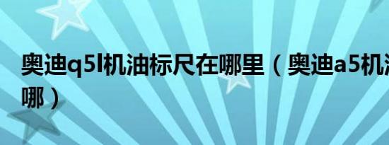 奥迪q5l机油标尺在哪里（奥迪a5机油标尺在哪）