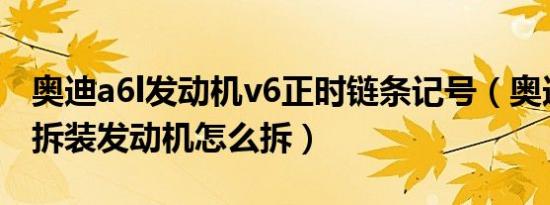 奥迪a6l发动机v6正时链条记号（奥迪a6l2.4拆装发动机怎么拆）