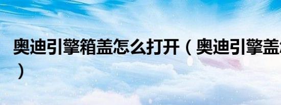 奥迪引擎箱盖怎么打开（奥迪引擎盖怎么打开）
