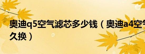 奥迪q5空气滤芯多少钱（奥迪a4空气滤芯多久换）