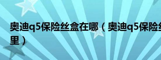 奥迪q5保险丝盒在哪（奥迪q5保险丝盒在哪里）