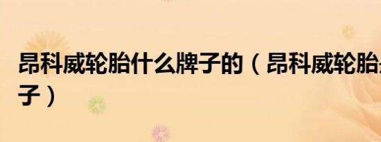 昂科威轮胎什么牌子的（昂科威轮胎是什么牌子）