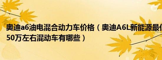 奥迪a6油电混合动力车价格（奥迪A6L新能源最低价多少钱 50万左右混动车有哪些）