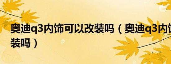 奥迪q3内饰可以改装吗（奥迪q3内饰可以改装吗）