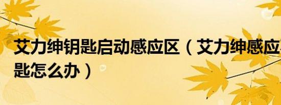 艾力绅钥匙启动感应区（艾力绅感应不到车钥匙怎么办）