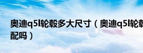 奥迪q5l轮毂多大尺寸（奥迪q5l轮毂可以选配吗）