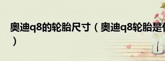 奥迪q8的轮胎尺寸（奥迪q8轮胎是什么品牌）