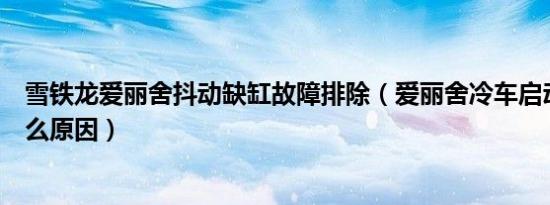 雪铁龙爱丽舍抖动缺缸故障排除（爱丽舍冷车启动缺缸是什么原因）